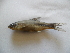  ( - AKOa-H2)  @13 [ ] No Rights Reserved  Unspecified Unspecified