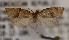  ( - KAA_DNA_00068)  @11 [ ] Copyright (2019) John Rawlins Carnegie Museum of Natural History