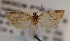  ( - KAA_DNA_00069)  @11 [ ] Copyright (2019) John Rawlins Carnegie Museum of Natural History