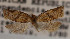  ( - KAA_DNA_00070)  @11 [ ] Copyright (2019) John Rawlins Carnegie Museum of Natural History