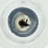  ( - CARR_001_B4)  @11 [ ] by  Genome Research Ltd as Wellcome Sanger Institute Genome Research Limited operating as Wellcome Sanger Institute