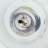  ( - CARR_001_H9)  @11 [ ] by  Genome Research Ltd as Wellcome Sanger Institute Genome Research Limited operating as Wellcome Sanger Institute