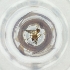  ( - CARR_003_B6)  @11 [ ] by  Genome Research Ltd as Wellcome Sanger Institute Genome Research Limited operating as Wellcome Sanger Institute