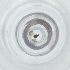  ( - CARR_008_A11)  @11 [ ] by  Genome Research Ltd as Wellcome Sanger Institute Genome Research Limited operating as Wellcome Sanger Institute