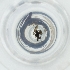  ( - CARR_009_B7)  @11 [ ] by  Genome Research Ltd as Wellcome Sanger Institute Genome Research Limited operating as Wellcome Sanger Institute