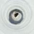  ( - CARR_013_E10)  @11 [ ] by  Genome Research Ltd as Wellcome Sanger Institute Genome Research Limited operating as Wellcome Sanger Institute