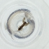  ( - MOZZ00000837A_C4)  @11 [ ] by  Genome Research Ltd as Wellcome Sanger Institute Genome Research Limited operating as Wellcome Sanger Institute