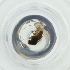  ( - MOZZ00000838A_D9)  @11 [ ] by  Genome Research Ltd as Wellcome Sanger Institute Genome Research Limited operating as Wellcome Sanger Institute