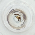  ( - MOZZ00000838A_F11)  @11 [ ] by  Genome Research Ltd as Wellcome Sanger Institute Genome Research Limited operating as Wellcome Sanger Institute