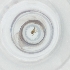  ( - MOZZ00000860A_A10)  @11 [ ] by  Genome Research Ltd as Wellcome Sanger Institute Genome Research Limited operating as Wellcome Sanger Institute