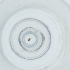  ( - MOZZ00000860A_H2)  @11 [ ] by  Genome Research Ltd as Wellcome Sanger Institute Genome Research Limited operating as Wellcome Sanger Institute