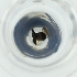  ( - MOZZ00000976A_G12)  @11 [ ] by  Genome Research Ltd as Wellcome Sanger Institute Genome Research Limited operating as Wellcome Sanger Institute