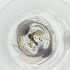  ( - MOZZ00000977A_H2)  @11 [ ] by  Genome Research Ltd as Wellcome Sanger Institute Genome Research Limited operating as Wellcome Sanger Institute