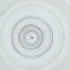  ( - MOZZ00000978A_F5)  @11 [ ] by  Genome Research Ltd as Wellcome Sanger Institute Genome Research Limited operating as Wellcome Sanger Institute