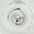  ( - MOZZ00000979A_E11)  @11 [ ] by  Genome Research Ltd as Wellcome Sanger Institute Genome Research Limited operating as Wellcome Sanger Institute