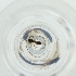 ( - MOZZ00000979A_G2)  @11 [ ] by  Genome Research Ltd as Wellcome Sanger Institute Genome Research Limited operating as Wellcome Sanger Institute