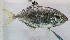  ( - 270518-KH3)  @11 [ ] Copyright (2019) Jean-Dominique Durand Institut de Recherche pour le Developpement