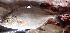  ( - 291116-CD6)  @11 [ ] Copyright (2019) Jean-Dominique Durand Institut de Recherche pour le Developpement