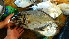  ( - D6.050616 CD)  @11 [ ] CreativeCommons - Attribution Non-Commercial Share-Alike (2015) Hoang Duc Huy IRD