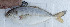  ( - HL060716-19)  @11 [ ] CreativeCommons - Attribution Non-Commercial Share-Alike (2015) Hoang Duc Huy IRD