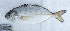  ( - HL060716-20)  @11 [ ] CreativeCommons - Attribution Non-Commercial Share-Alike (2015) Hoang Duc Huy IRD