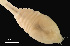  ( - MACN-Cru 00015)  @11 [ ] Unspecified (default): All Rights Reserved  Unspecified Unspecified