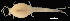  ( - MACN-Cru 00021)  @11 [ ] Unspecified (default): All Rights Reserved  Unspecified Unspecified
