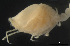  ( - MACN-Cru 00021)  @11 [ ] Unspecified (default): All Rights Reserved  Unspecified Unspecified
