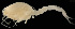  ( - MACN-Cru 00047)  @11 [ ] Unspecified (default): All Rights Reserved  Unspecified Unspecified