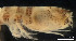  ( - MACN-Cru 00043)  @11 [ ] Unspecified (default): All Rights Reserved  Unspecified Unspecified