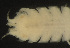  ( - MACN-Cru 00007)  @11 [ ] Unspecified (default): All Rights Reserved  Unspecified Unspecified