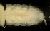  ( - MACN-Cru 00007)  @11 [ ] Unspecified (default): All Rights Reserved  Unspecified Unspecified