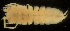  ( - MACN-Cru 00083)  @11 [ ] Unspecified (default): All Rights Reserved  Unspecified Unspecified