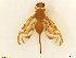  ( - BC0101R4M15_A)  @12 [ ] CreativeCommons - Attribution (2016) Henry Troya Agrocalidad