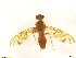  ( - BC0101R4M15_D)  @13 [ ] CreativeCommons - Attribution (2016) Henry Troya Agrocalidad