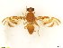 ( - BC0102R3M01_A)  @11 [ ] CreativeCommons - Attribution (2016) Henry Troya Agrocalidad