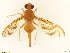  ( - BC0102R3M01_C)  @13 [ ] CreativeCommons - Attribution (2016) Henry Troya Agrocalidad