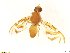  ( - BC0102R3M02_C)  @11 [ ] CreativeCommons - Attribution (2016) Henry Troya Agrocalidad