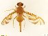  ( - BC0102R3M02_E)  @11 [ ] CreativeCommons - Attribution (2016) Henry Troya Agrocalidad
