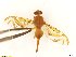  ( - BC0102R3M05_C)  @11 [ ] CreativeCommons - Attribution (2016) Henry Troya Agrocalidad