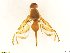  ( - BC0102R3M17_L)  @11 [ ] CreativeCommons - Attribution (2016) Henry Troya Agrocalidad