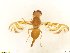 ( - BC0108R3M12_I)  @11 [ ] CreativeCommons - Attribution (2016) Henry Troya Agrocalidad