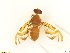  ( - BC0108R3M13_A)  @12 [ ] CreativeCommons - Attribution (2016) Henry Troya Agrocalidad