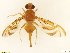  ( - BC0108R3M18_A)  @11 [ ] CreativeCommons - Attribution (2016) Henry Troya Agrocalidad