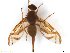  ( - BCINF2943)  @11 [ ] CreativeCommons - Attribution (2017) Henry Troya Agrocalidad