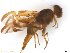  ( - BCLAB5583)  @12 [ ] CreativeCommons - Attribution (2017) Henry Troya Agrocalidad