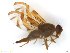  ( - BCLDR04151655_A)  @11 [ ] CreativeCommons - Attribution (2017) Henry Troya Agrocalidad