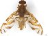  ( - BCLDR04151655_B)  @11 [ ] CreativeCommons - Attribution (2017) Henry Troya Agrocalidad