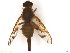  ( - BCRUTA3_A)  @13 [ ] CreativeCommons - Attribution (2017) Henry Troya Agrocalidad