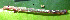  ( - USNM ENT 00704677)  @12 [ ] Unspecified (default): All Rights Reserved  Unspecified Unspecified